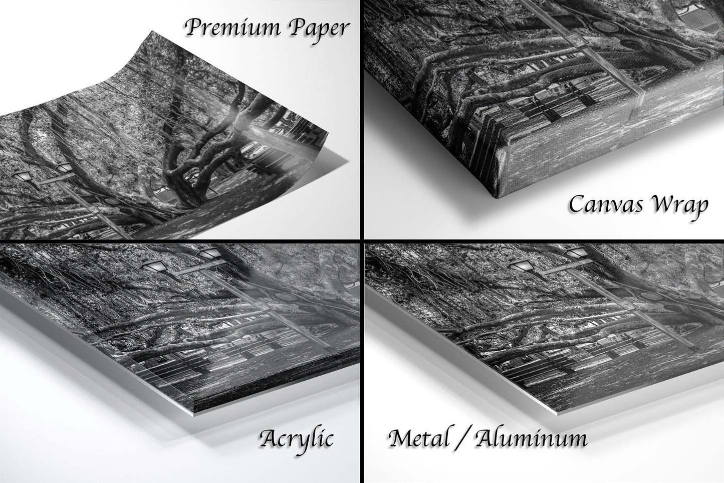 a series of four photos of a forest