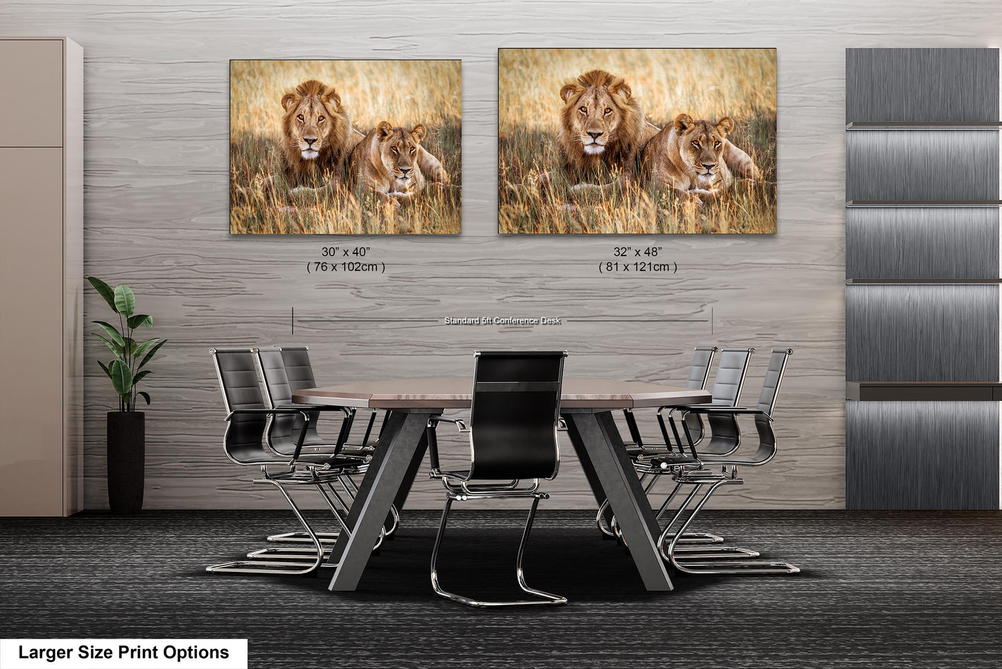 Lion Pair African Safari