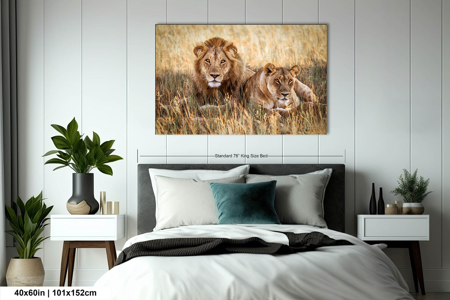 Lion Pair African Safari