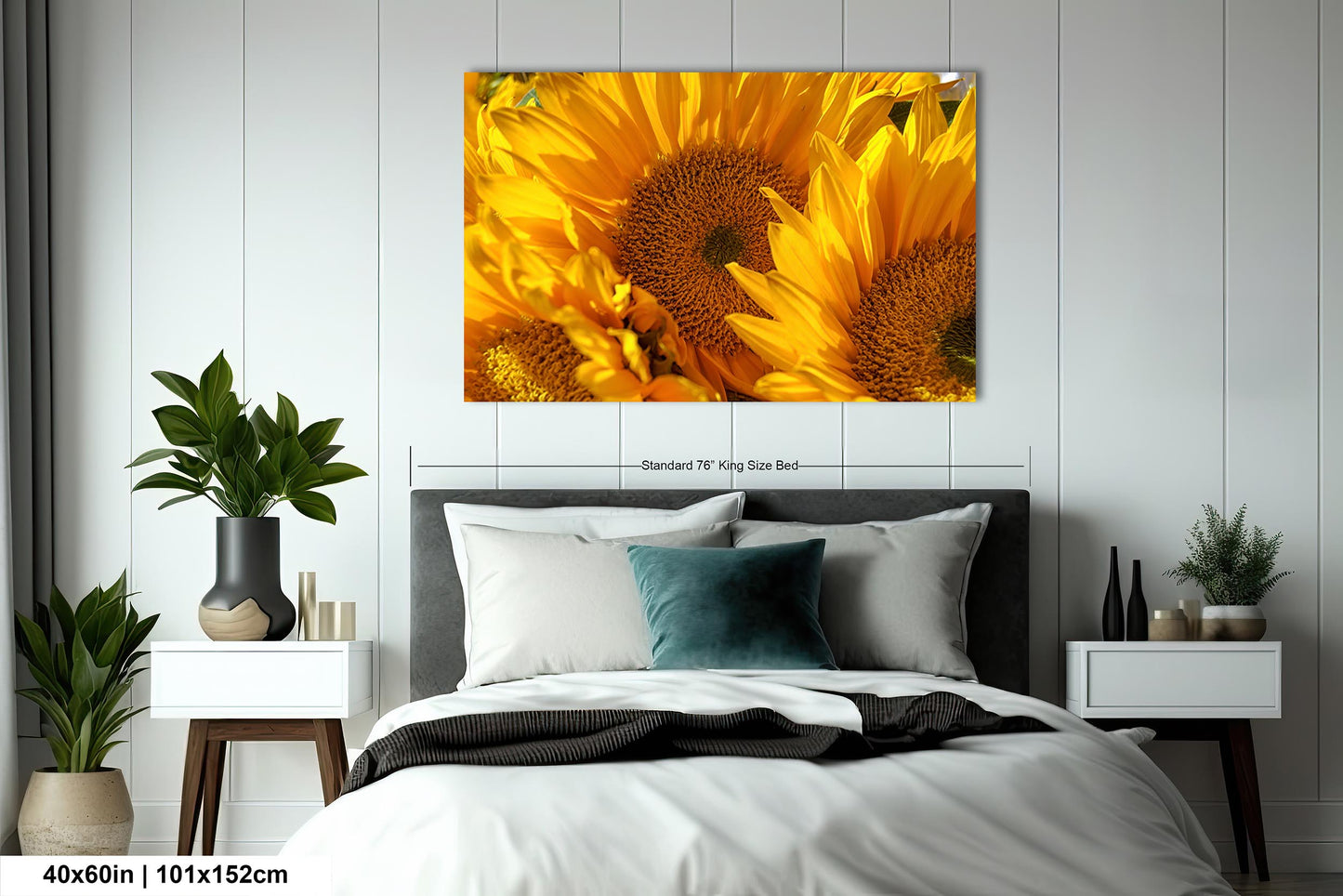 Sunflowers, Sunflower fields, Flowers, Giant Sunflowers, Helianthus, Photography Print, Acrylic, Canvas, Metal