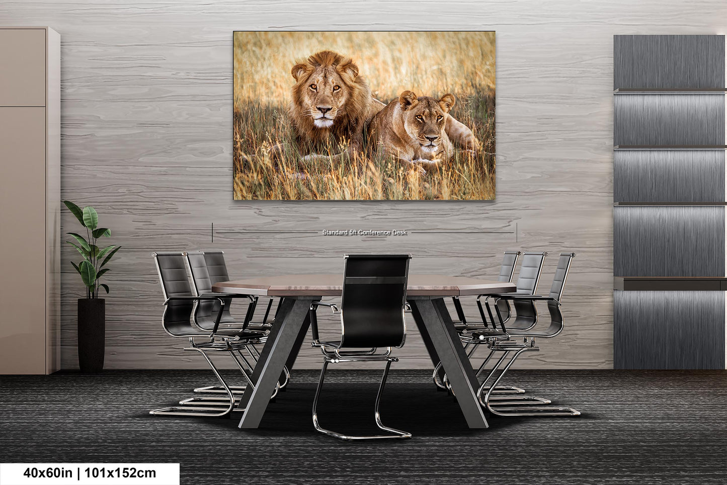 Lion Pair African Safari