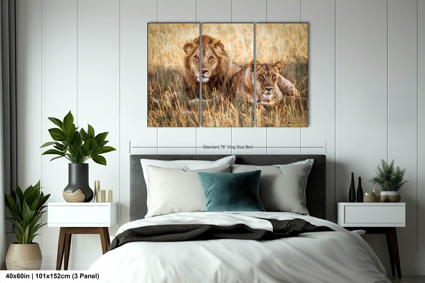 Lion Pair African Safari