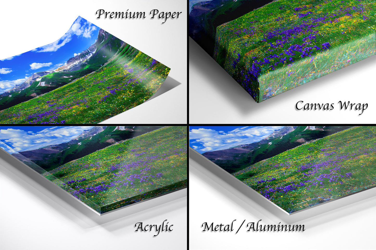 Mountain wildflower picture, Colorado wall art, aspen wildflowers, bedroom wall art, 3 piece wall art canvas