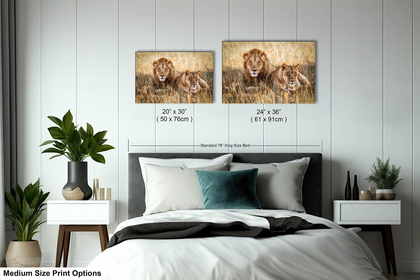 Lion Pair African Safari