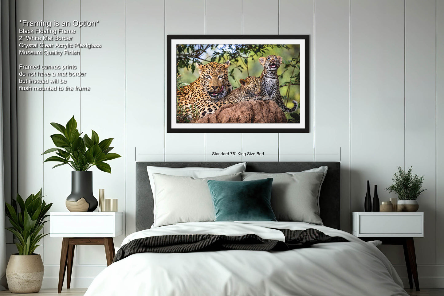 Leopard Mother with Cubs African Safari