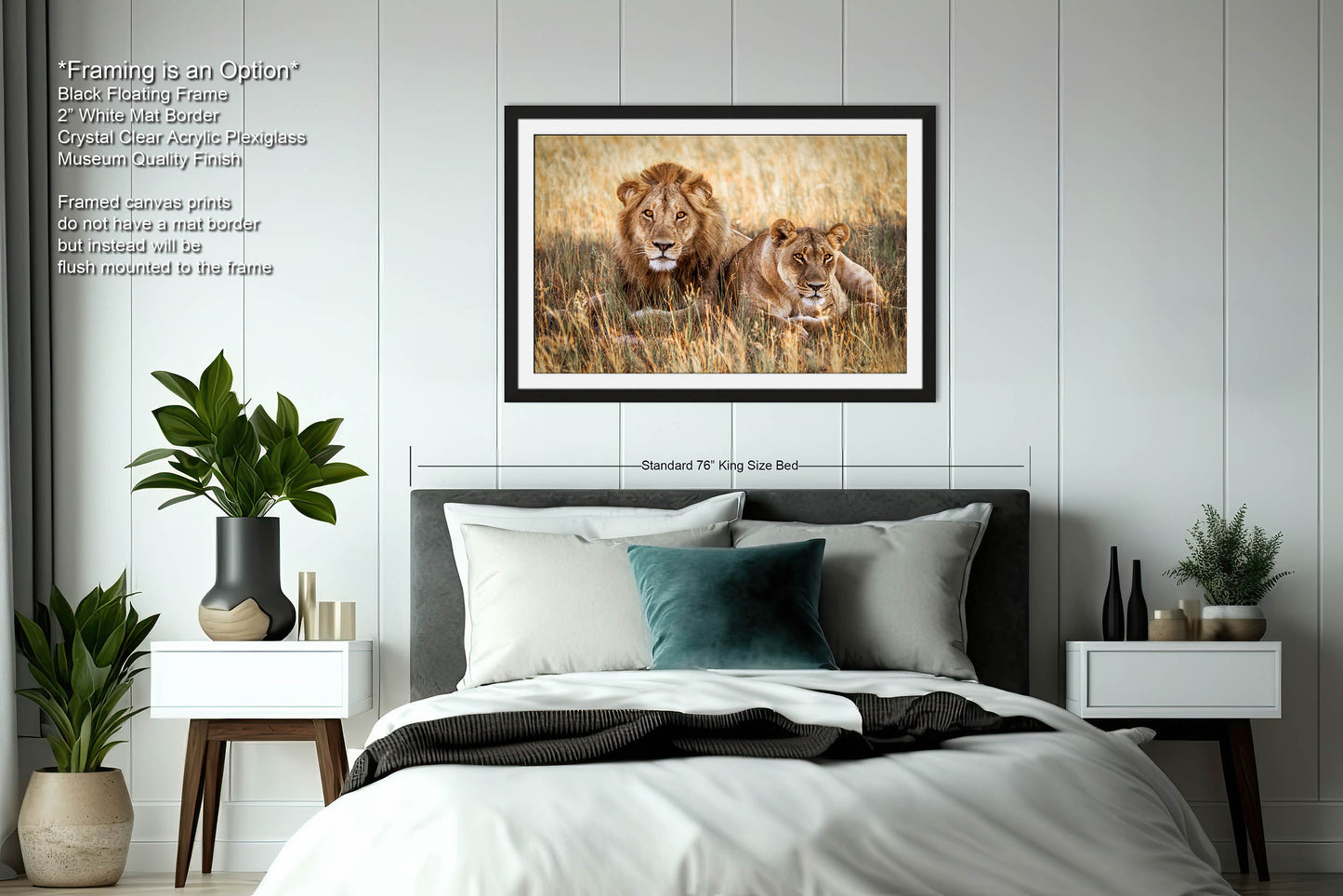 Lion Pair African Safari