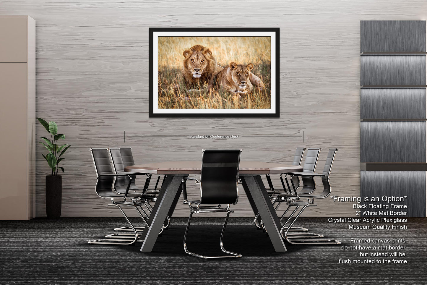 Lion Pair African Safari