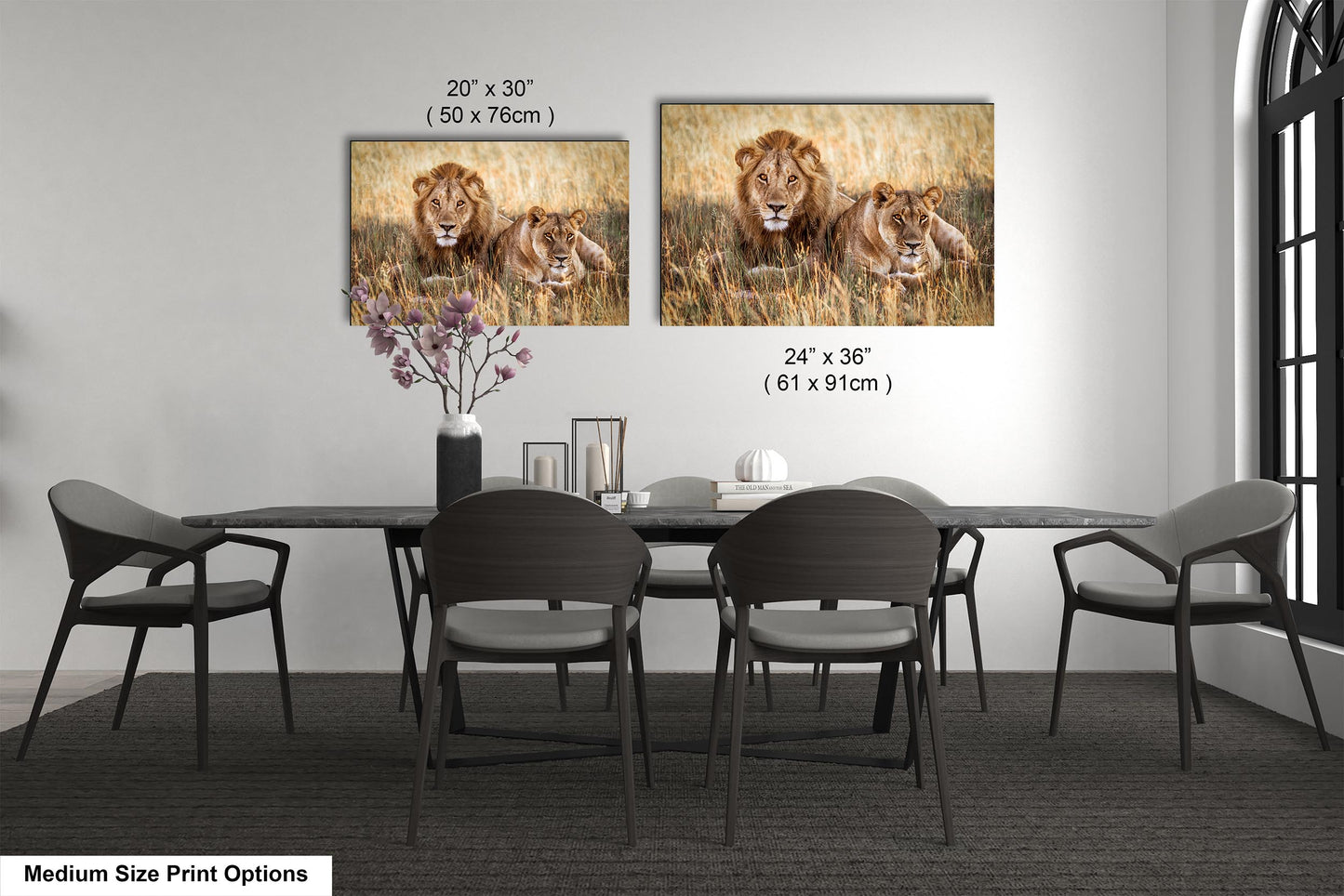 Lion Pair African Safari