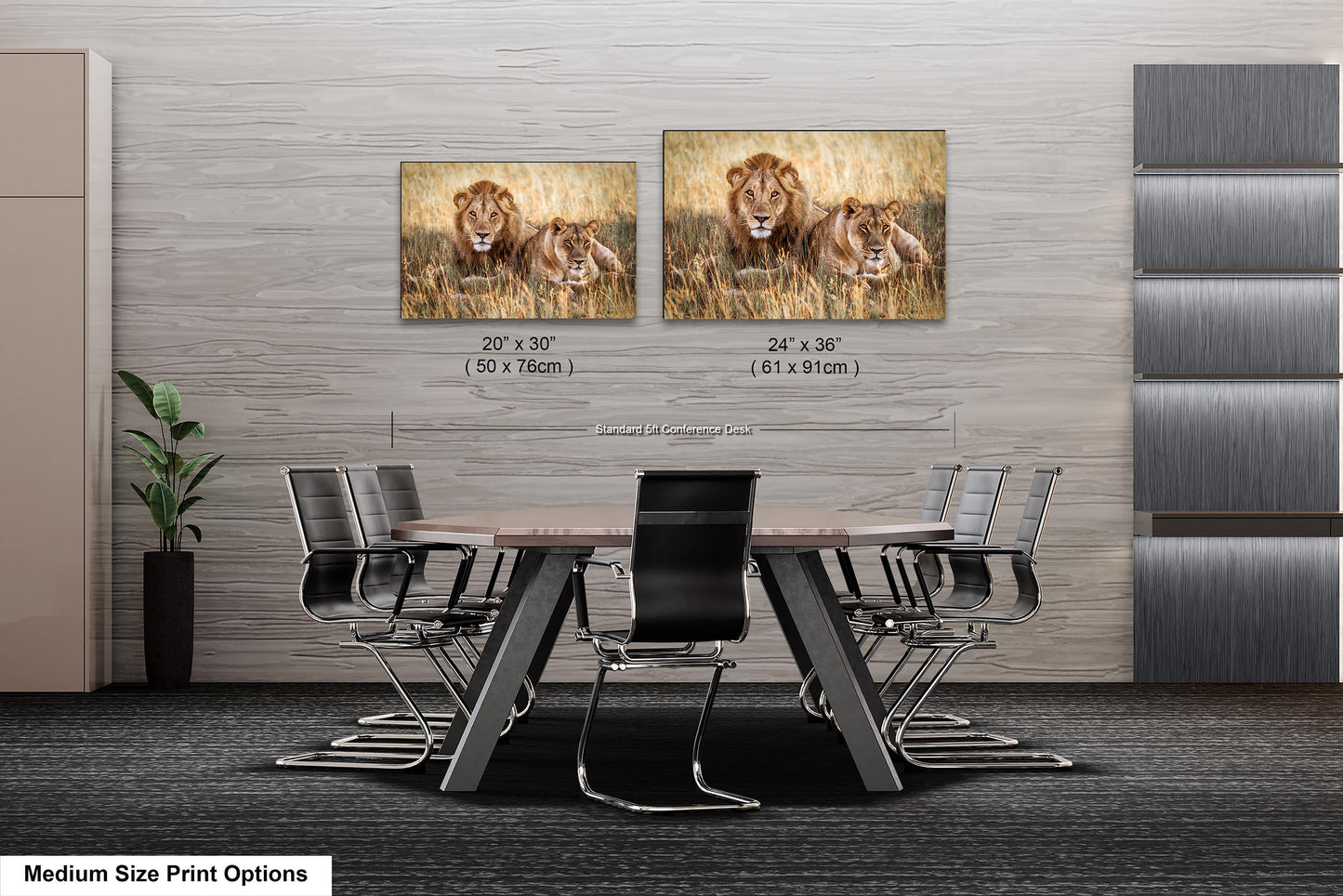Lion Pair African Safari