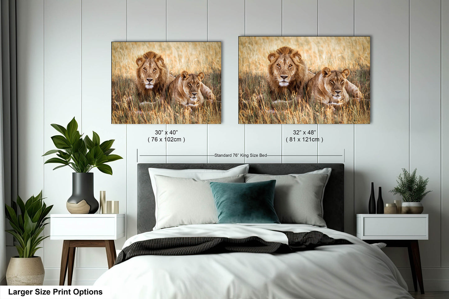 Lion Pair African Safari