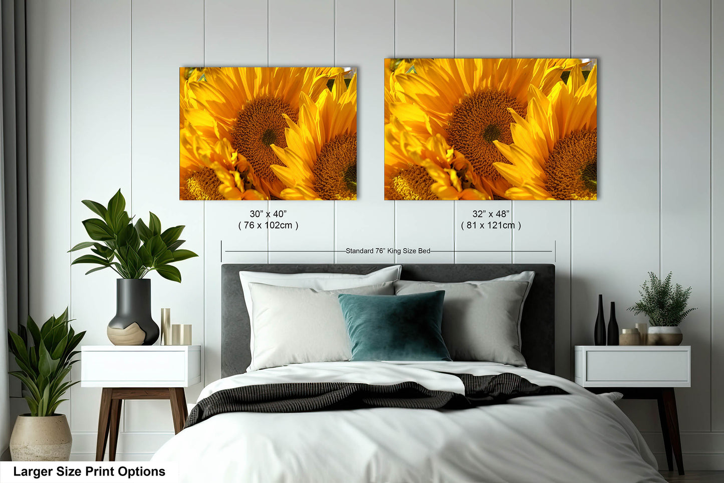 Sunflowers, Sunflower fields, Flowers, Giant Sunflowers, Helianthus, Photography Print, Acrylic, Canvas, Metal