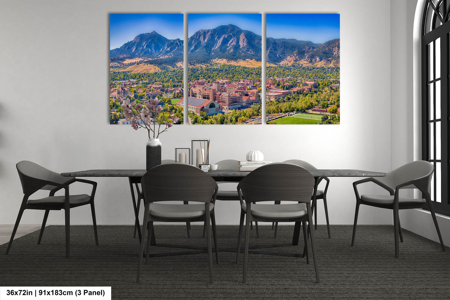 Folsom Field, Boulder Colorado Mountainscape