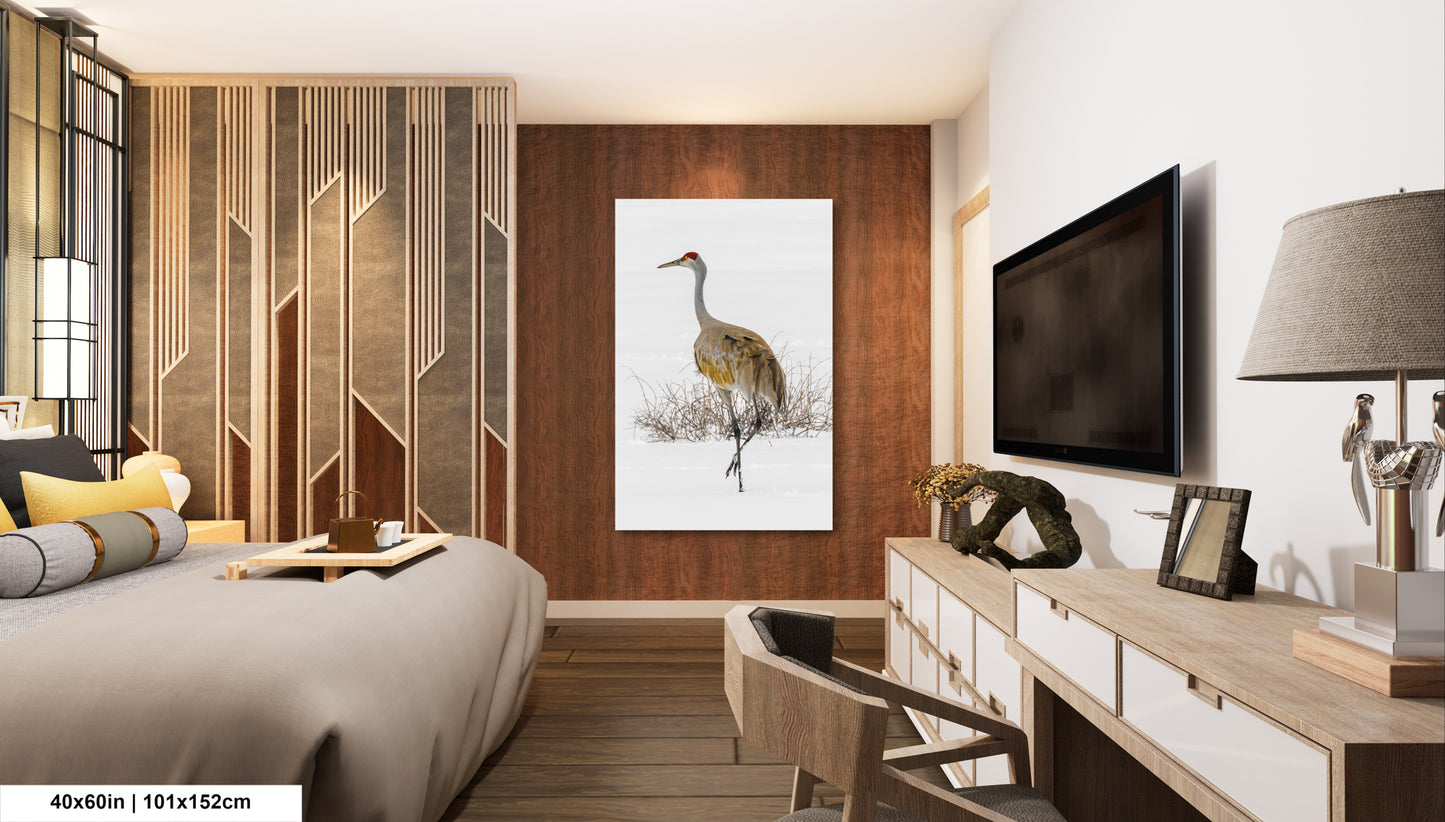 Sandhill Crane, Yellowstone National Park, Western Wall Art, available on Paper, Canvas, Metal, or Acrylic, great for Home, Office, and Dorm