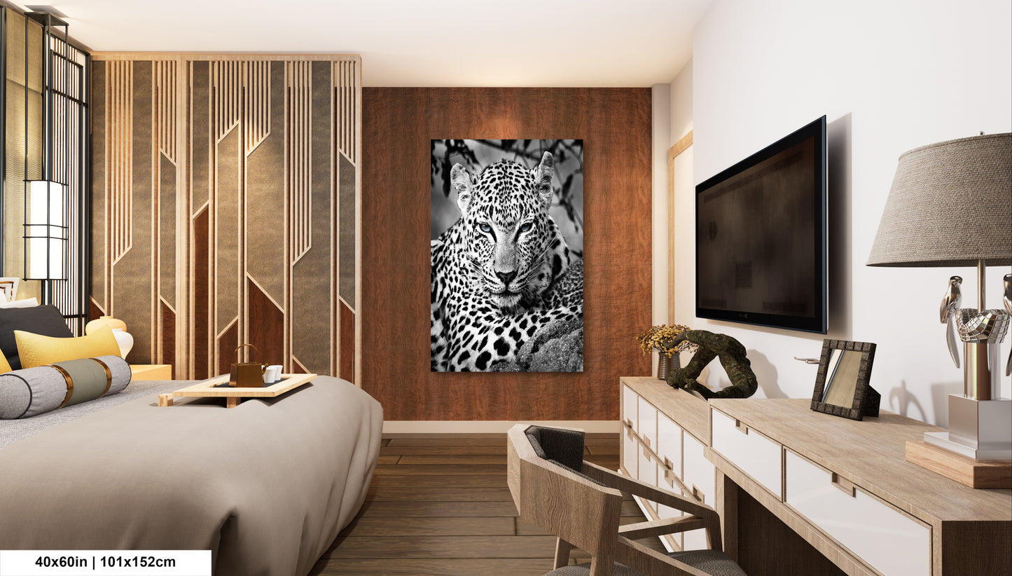 Leopard African Safari black and white