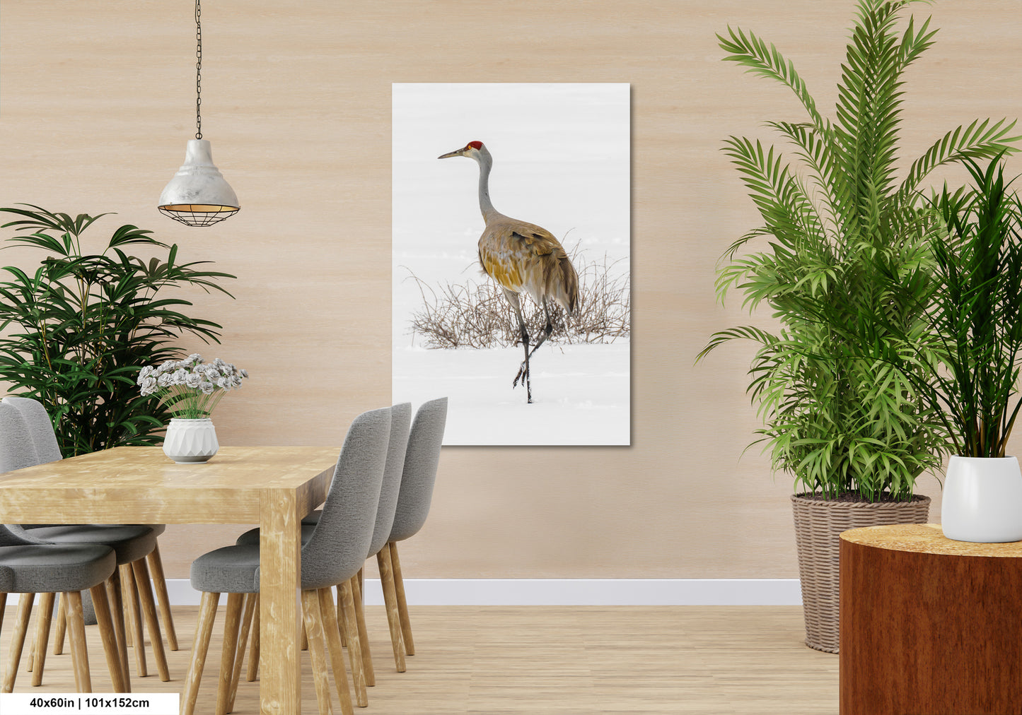 Sandhill Crane, Yellowstone National Park, Western Wall Art, available on Paper, Canvas, Metal, or Acrylic, great for Home, Office, and Dorm