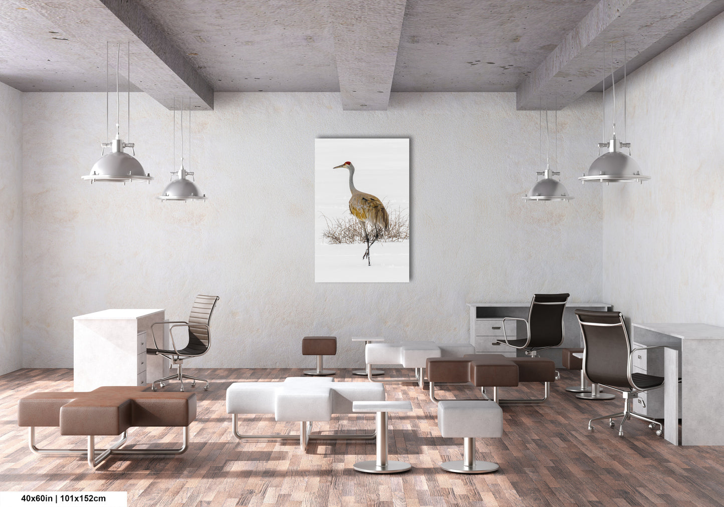 Sandhill Crane, Yellowstone National Park, Western Wall Art, available on Paper, Canvas, Metal, or Acrylic, great for Home, Office, and Dorm