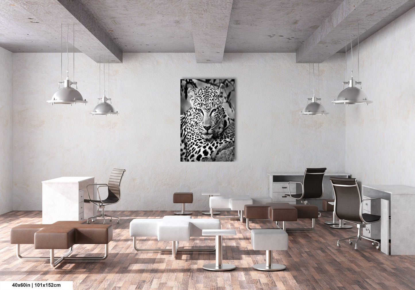Leopard African Safari black and white