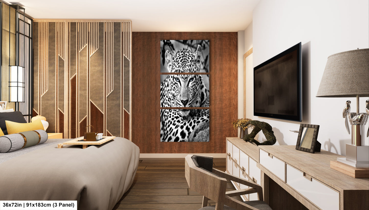 Leopard African Safari black and white