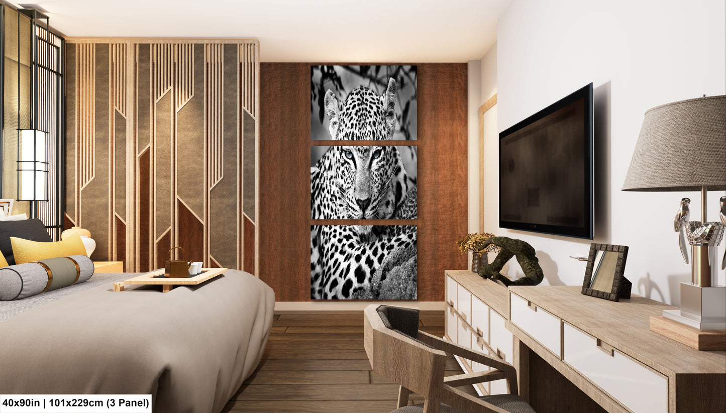 Leopard African Safari black and white