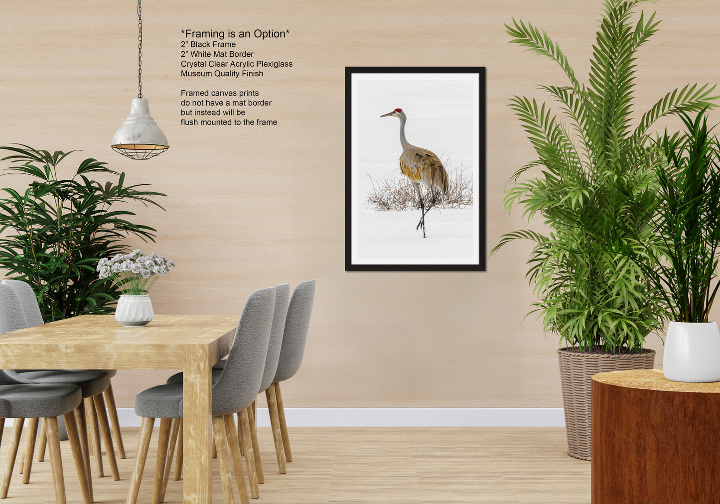 Sandhill Crane, Yellowstone National Park, Western Wall Art, available on Paper, Canvas, Metal, or Acrylic, great for Home, Office, and Dorm