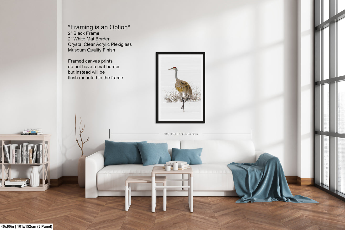 Sandhill Crane, Yellowstone National Park, Western Wall Art, available on Paper, Canvas, Metal, or Acrylic, great for Home, Office, and Dorm