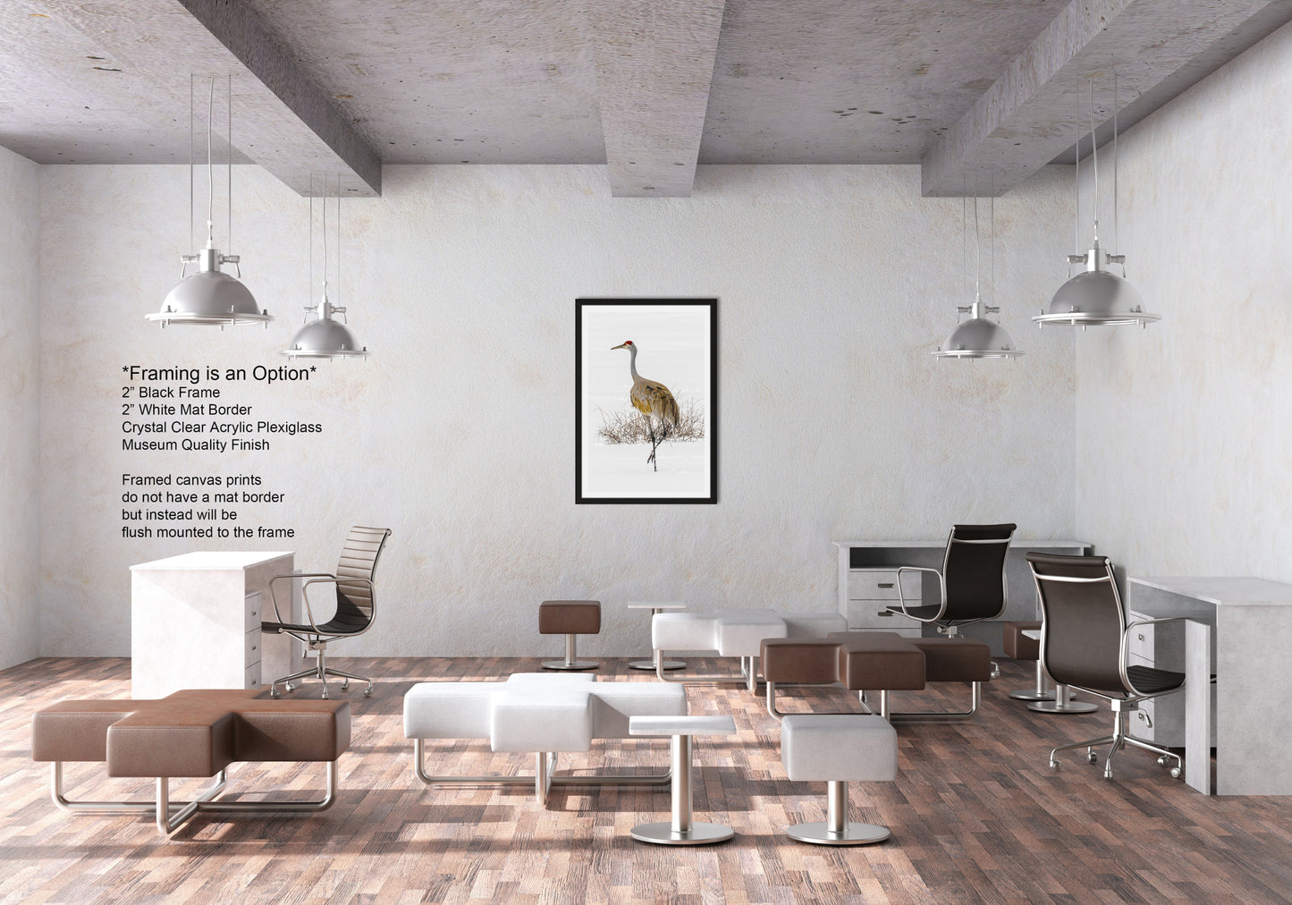 Sandhill Crane, Yellowstone National Park, Western Wall Art, available on Paper, Canvas, Metal, or Acrylic, great for Home, Office, and Dorm