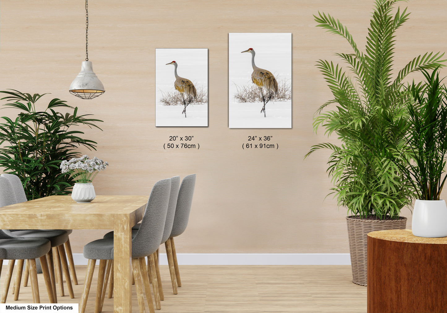 Sandhill Crane, Yellowstone National Park, Western Wall Art, available on Paper, Canvas, Metal, or Acrylic, great for Home, Office, and Dorm