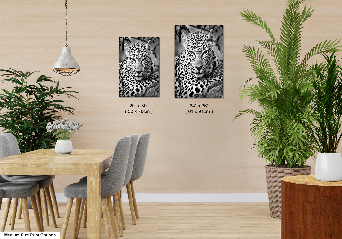 Leopard African Safari black and white