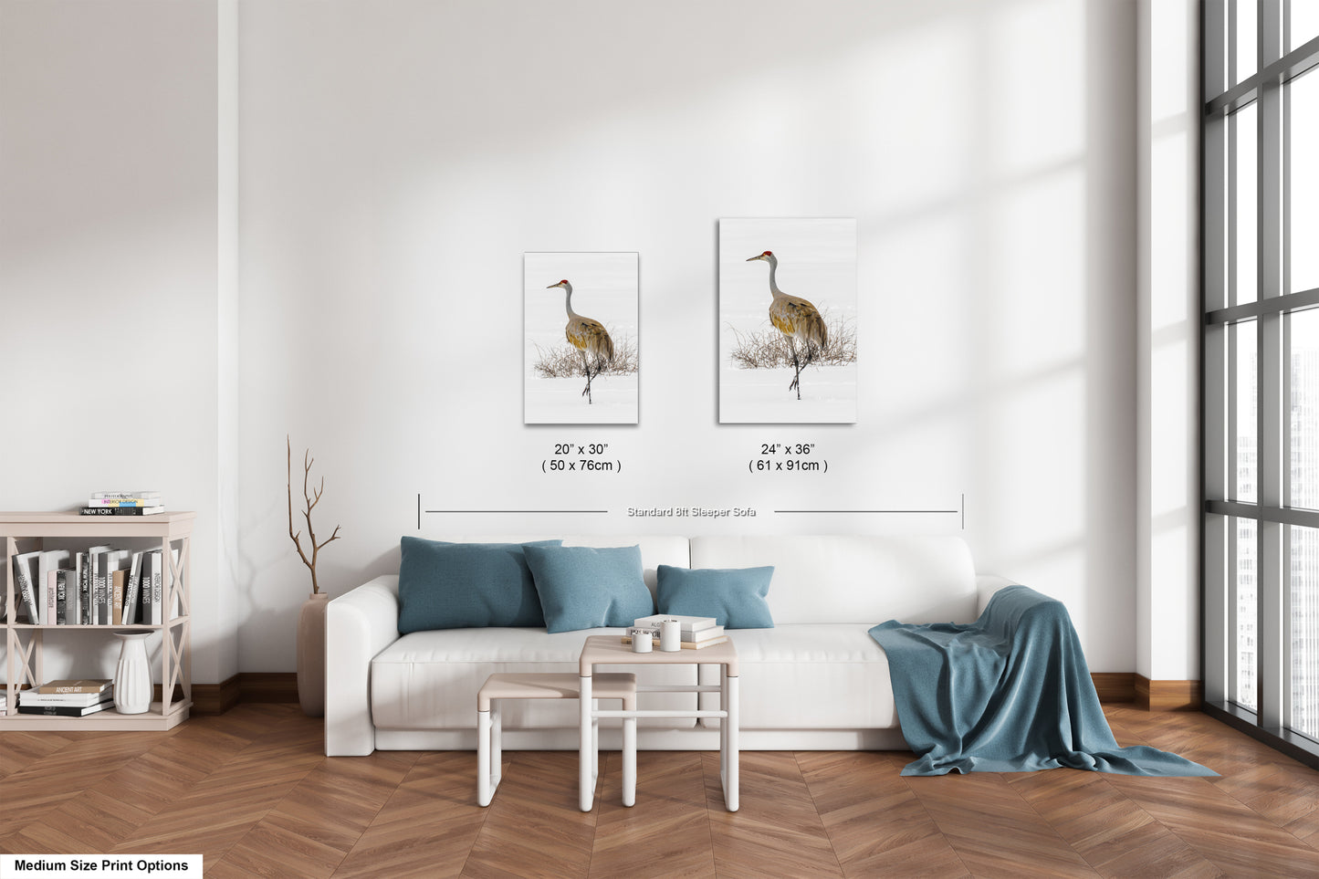 Sandhill Crane, Yellowstone National Park, Western Wall Art, available on Paper, Canvas, Metal, or Acrylic, great for Home, Office, and Dorm
