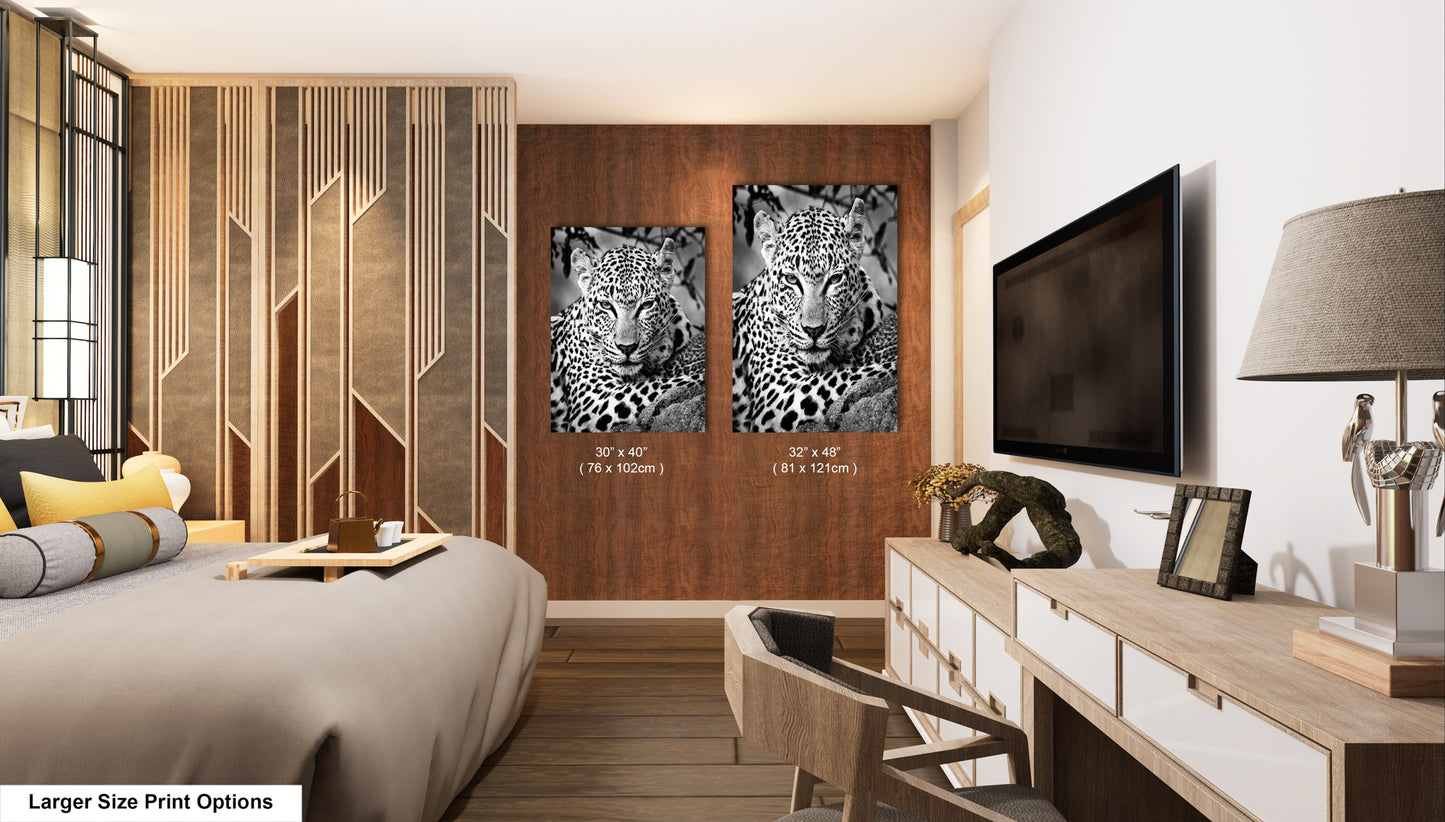 Leopard African Safari black and white