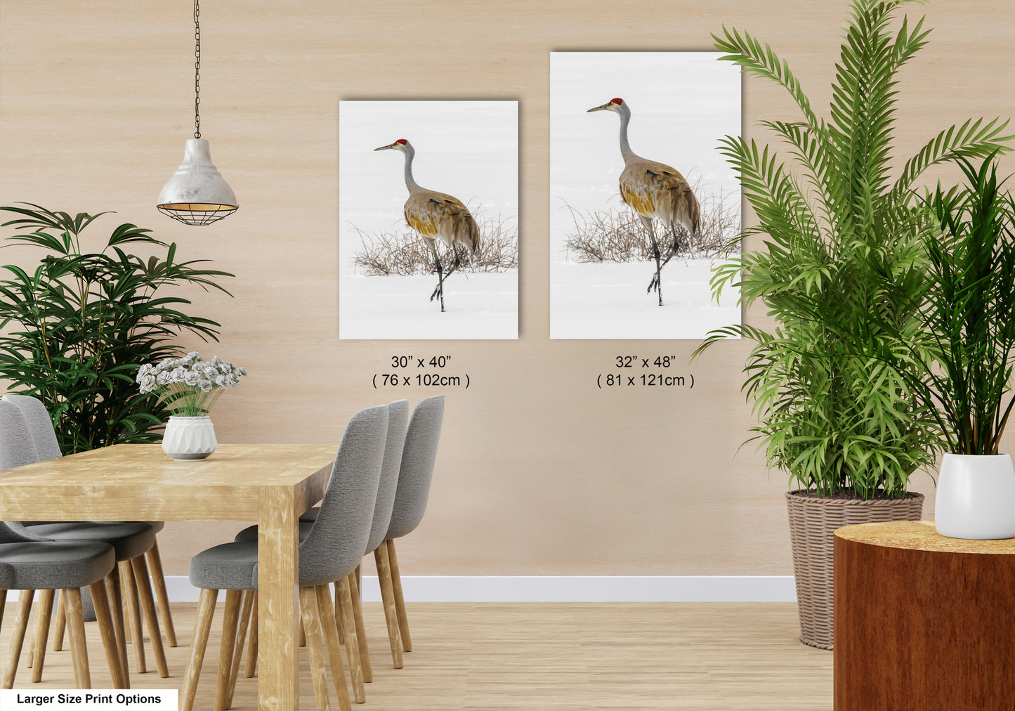 Sandhill Crane, Yellowstone National Park, Western Wall Art, available on Paper, Canvas, Metal, or Acrylic, great for Home, Office, and Dorm