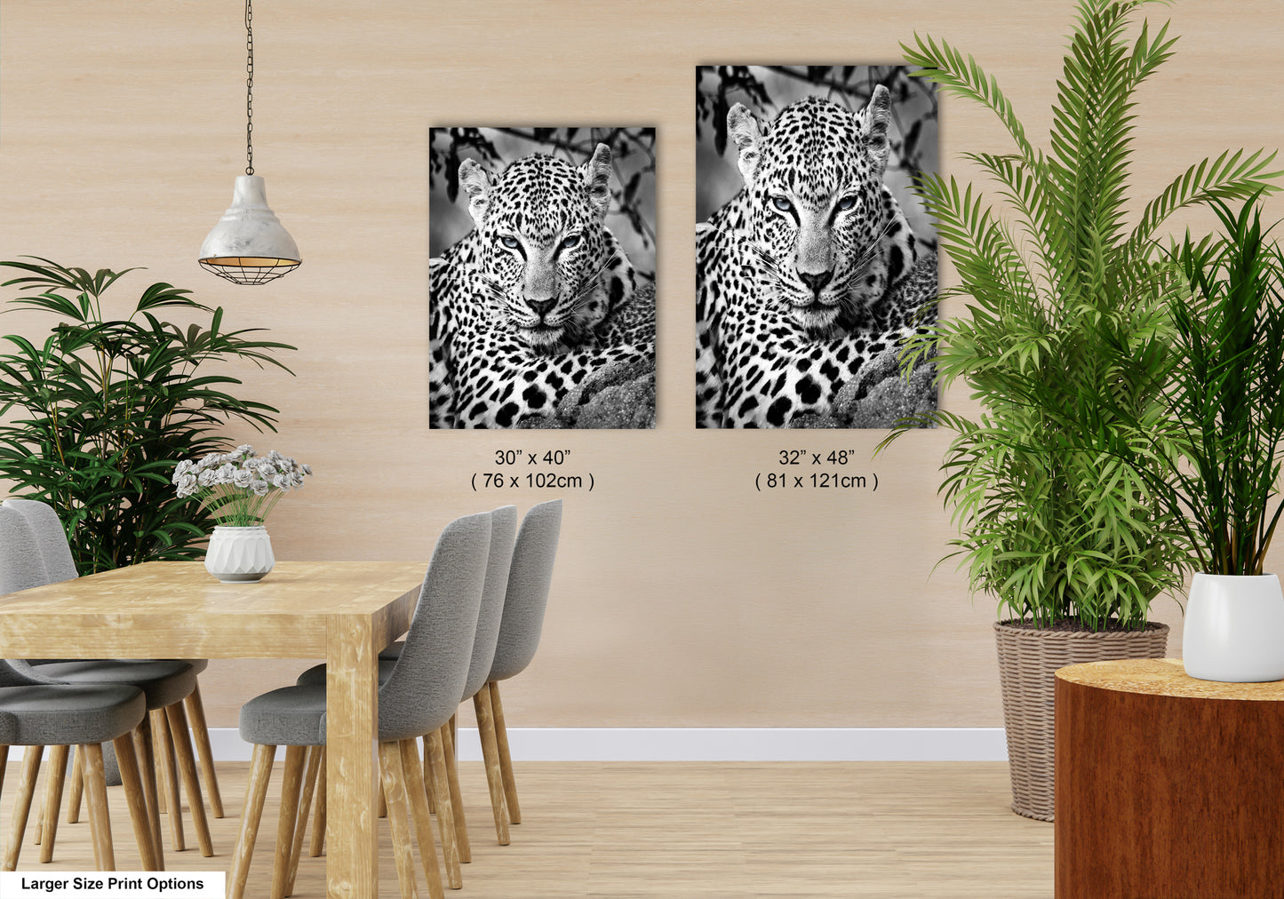 Leopard African Safari black and white
