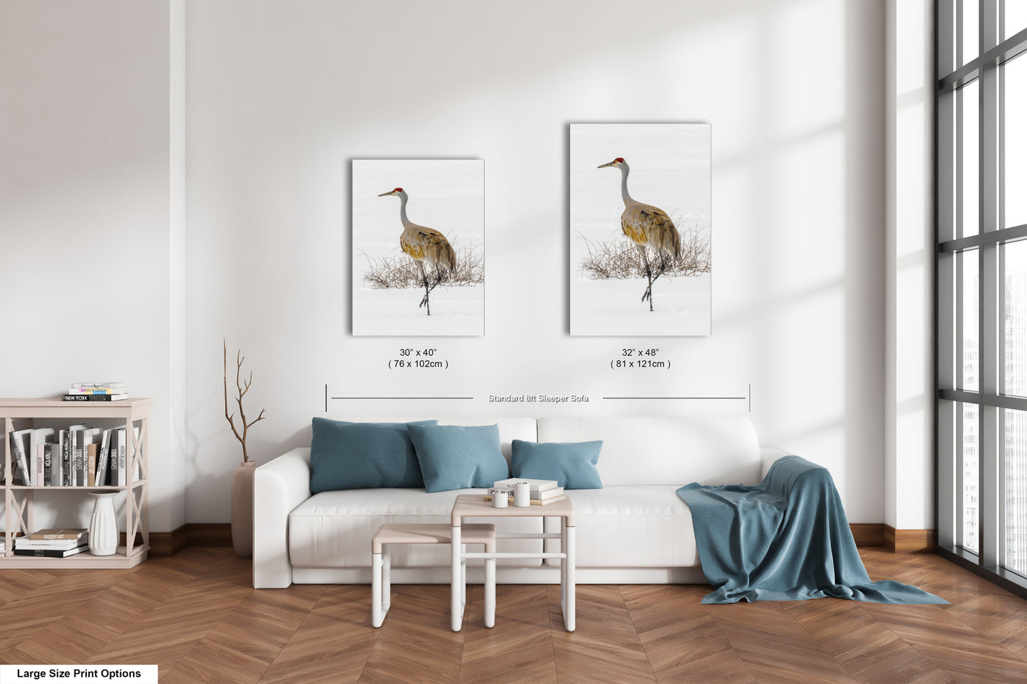 Sandhill Crane, Yellowstone National Park, Western Wall Art, available on Paper, Canvas, Metal, or Acrylic, great for Home, Office, and Dorm