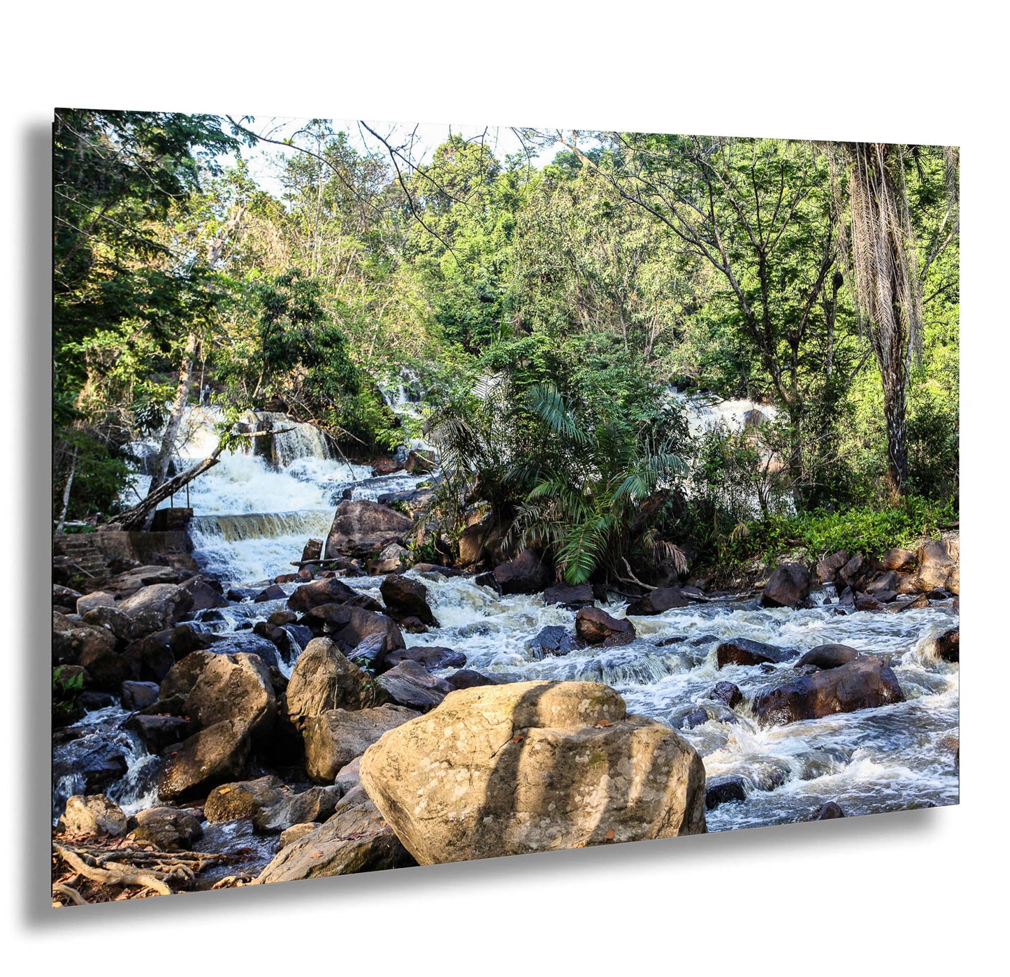 a river running through a lush green forest