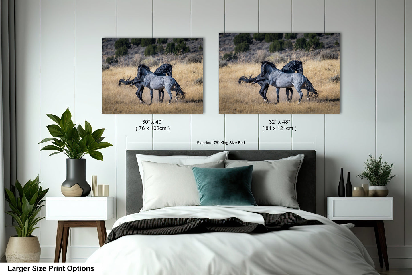a couple of pictures of horses on a wall above a bed