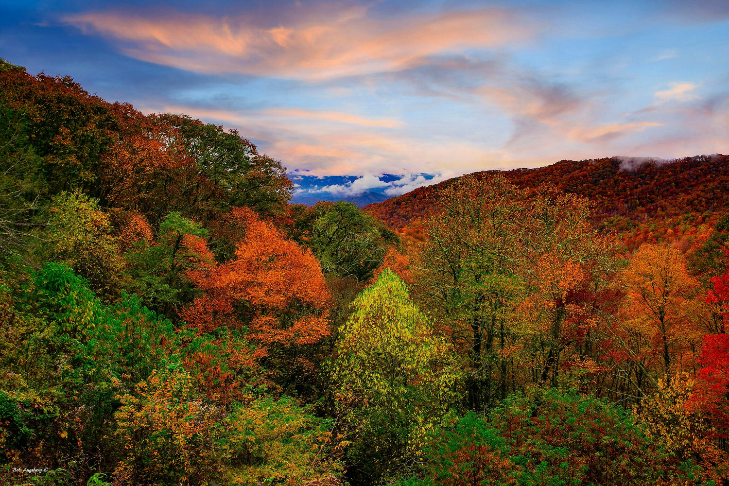 North Carolina