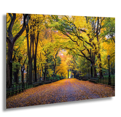 New York Central Park Foliage