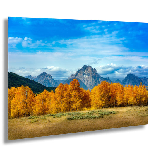 Grand Teton National Park Fall Color Panoramic Wall Art Decor Photography GTNP Near Oxbow Bend Aspen Trees Gift