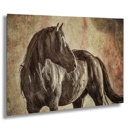 Wild Horse Photography Canvas Print,  Wild Horse wall art  “Rugged Beauty”   Equine art, , Wild Horse Photo, Print, Metal, Canvas