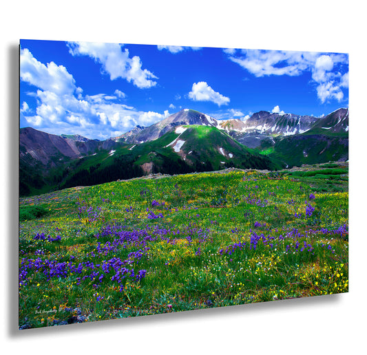 Mountain wildflower picture, Colorado wall art, aspen wildflowers, bedroom wall art, 3 piece wall art canvas