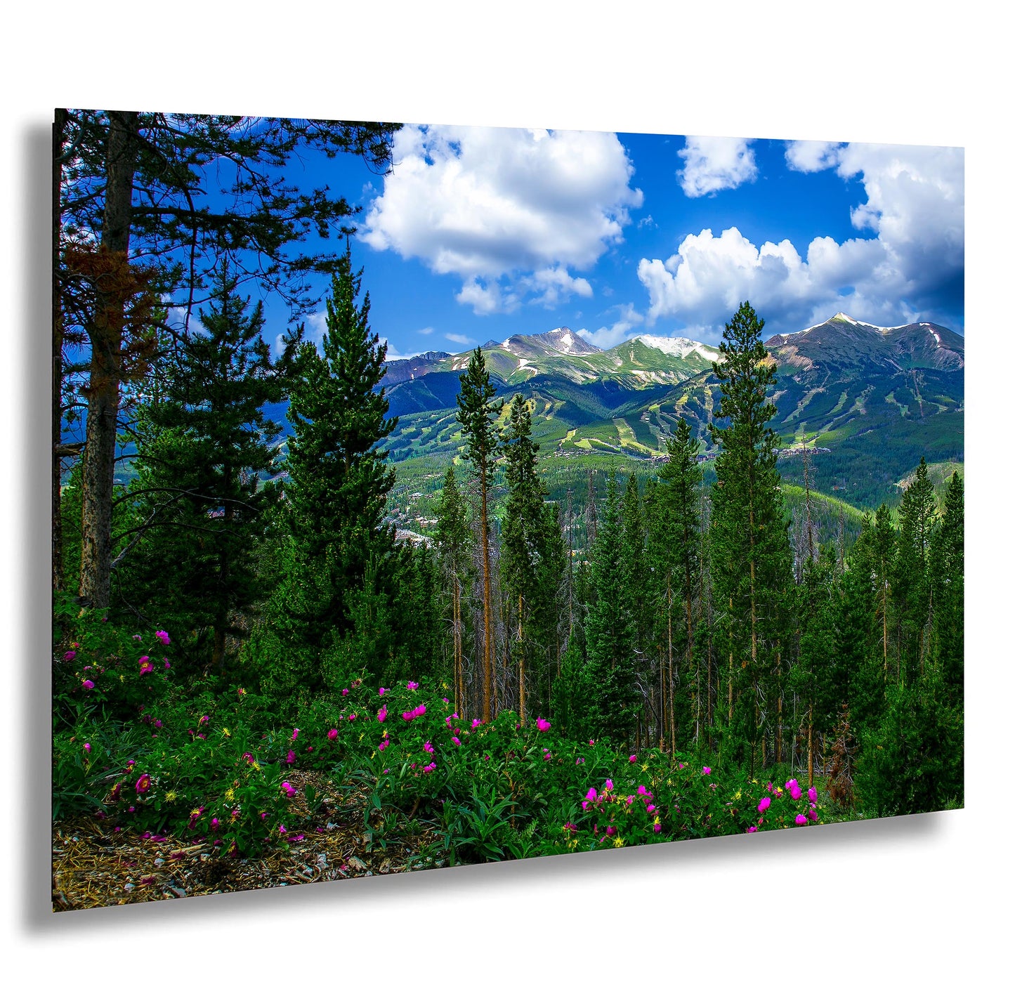 Breckenridge Colorado summertime picture, Breckenridge wall art, wildflowers of Colorado, mountain wall art, extra large wall art