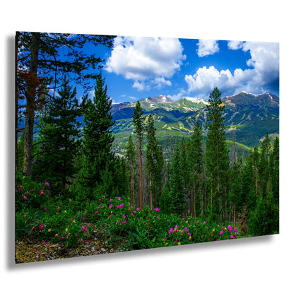 Breckenridge Colorado summertime picture, Breckenridge wall art, wildflowers of Colorado, mountain wall art, extra large wall art