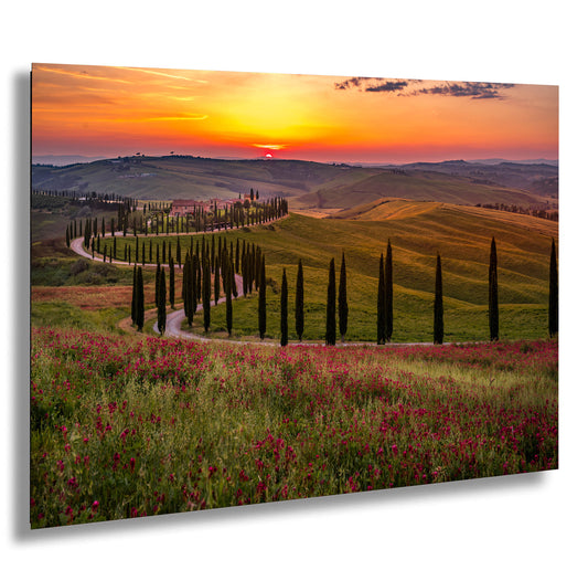 Tuscany, Val d'Orcia, Baccoleno Farmhouse, Cypress Trees, Italy, Poppies, Sunset, Iconic