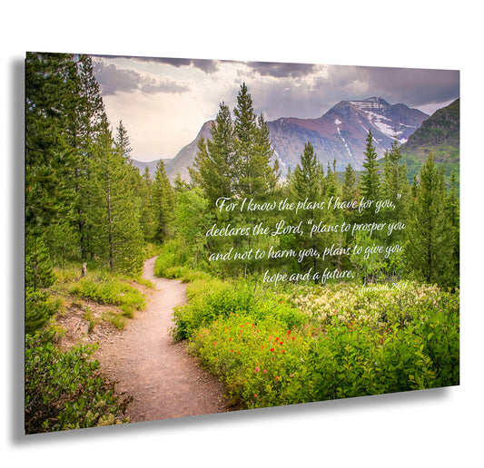 Jeremiah 29:11 Scripture Canvas, Mt Rainier Mountain Scene Bible Verse, Christian Inspirational Wall Art, I Know the Plans I Have for You