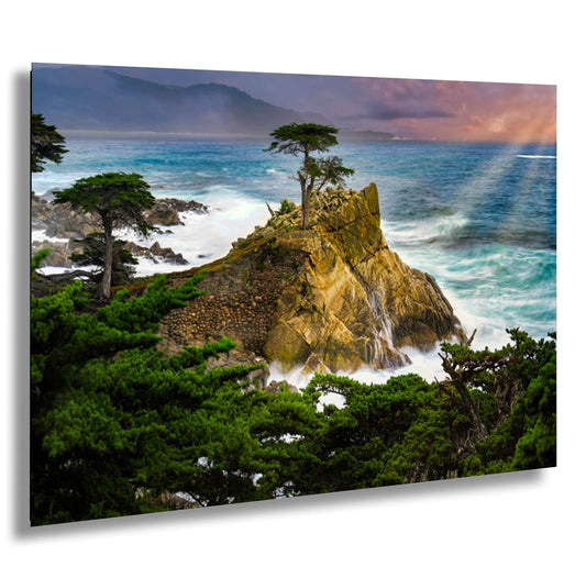 Lone Cypress Tree California Coast Photography Coastal Wall Art, Big Sur Landscape Ocean Sunset Print