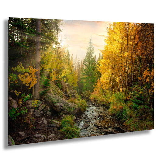 Rocky Mountain National Park Fall Aspens, Mountain Path in Autumn, Colorado Autumn Landscape Canvas Wall Art, Forest Scene Decor for Home