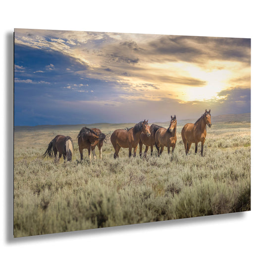 Wyoming Wild Horses Wall Art Print, Wild Mustang Photo, Wildlife Canvas, Cowboy Old West Decor for Home, Living Room, Bedroom Office