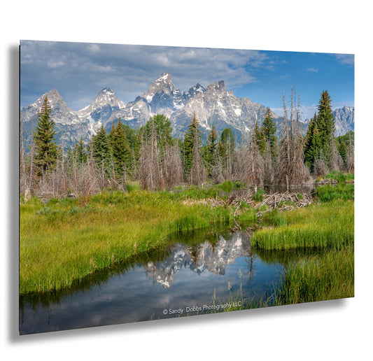 Grand Teton National Park Mountain Reflection, Schwabacher Landing, Wyoming Landscape, Mountain Photo Canvas Wall Art Prints, Decor for Home