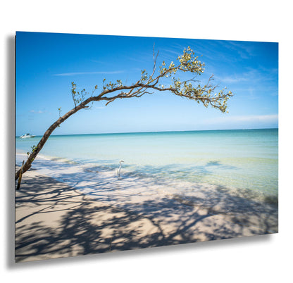 Florida Beach