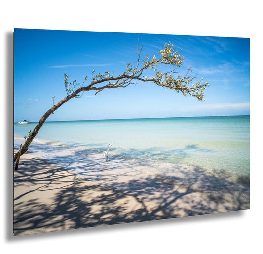 Florida Beach